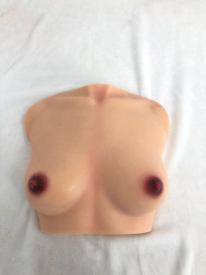 Breasts (s) torso Sex doll (Climax Doll PRO B-cup silicone)