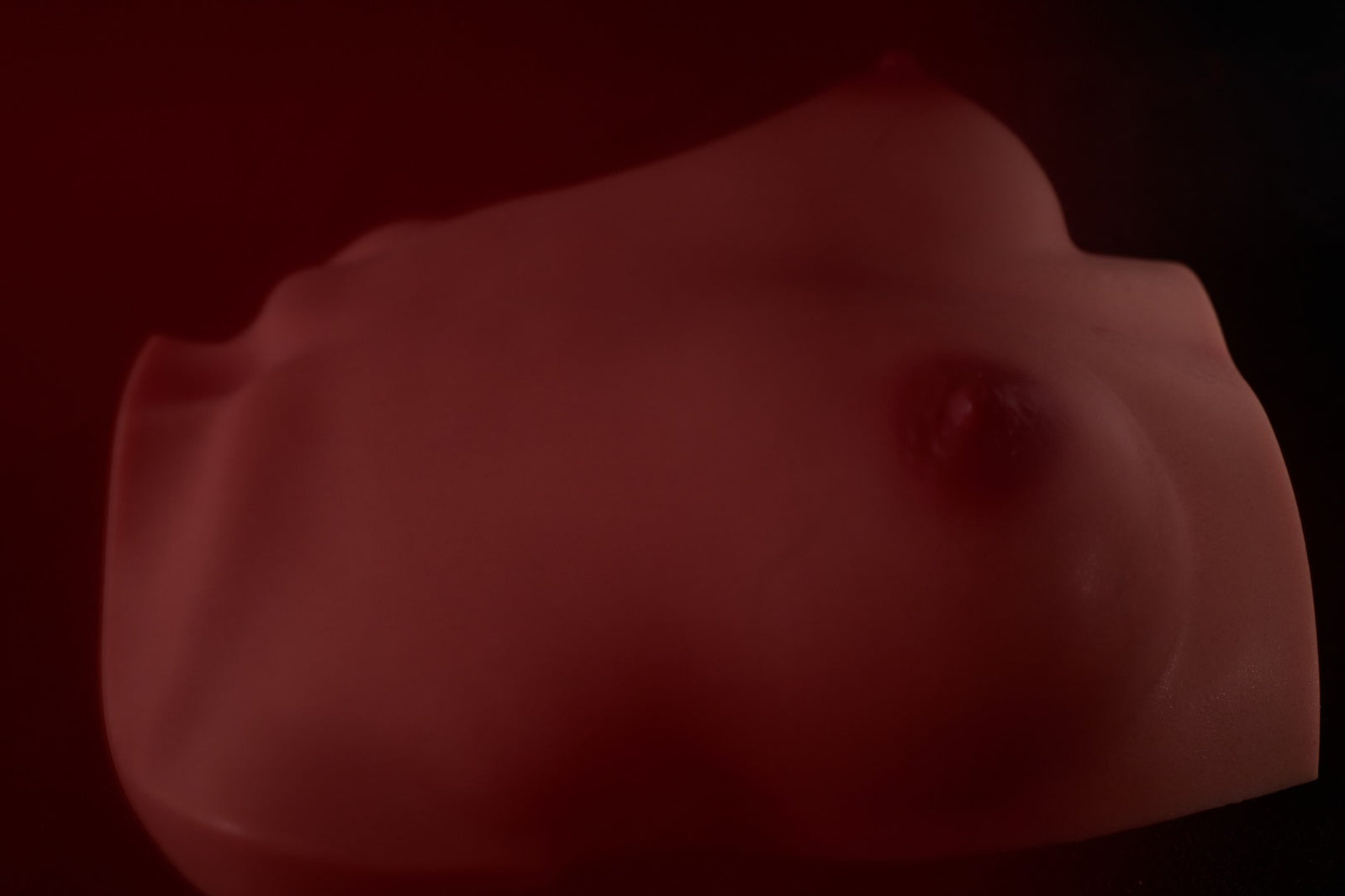 Chest (S) Torso Sex doll (Climax Doll Pro B-cup silicone)