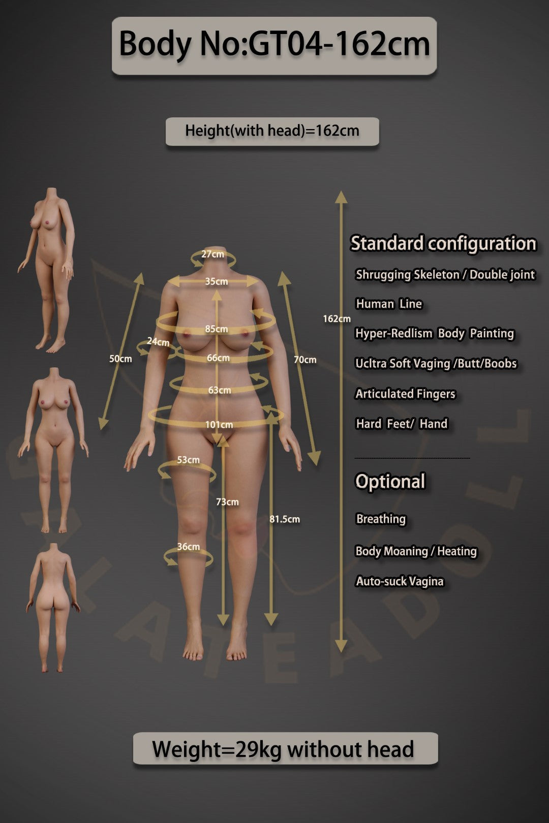 Ida Sex doll (Galatea Doll 162cm C-cup #052 silicone)