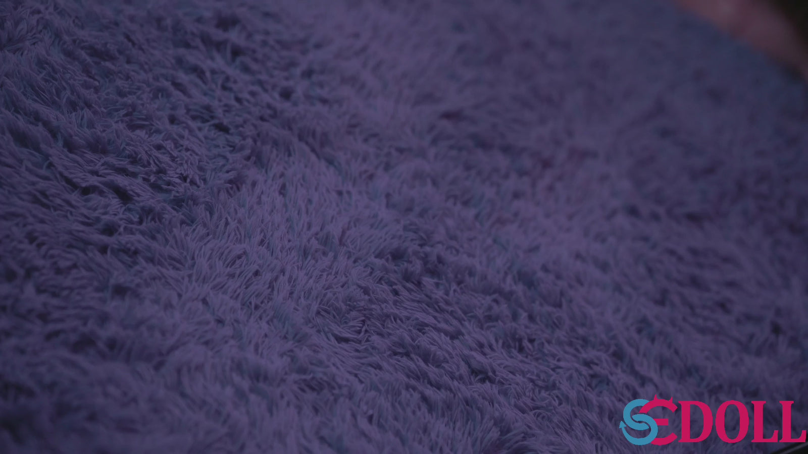 Sarah Sex doll (SEDoll 160cm C-cup #101 silicone)