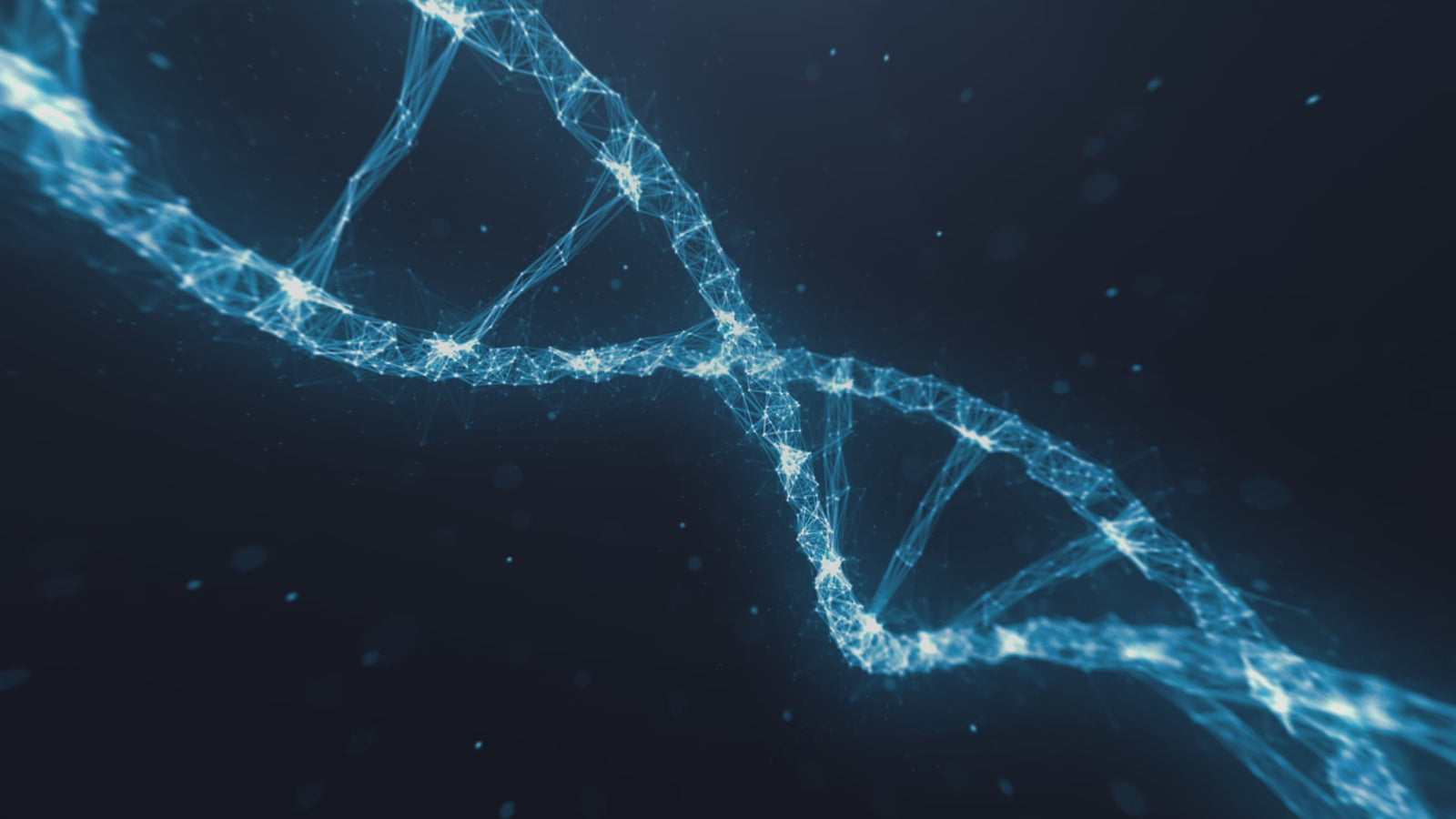 Rosary Sex doll (XT Doll 164cm C-cup #XT-byb14 silicone)